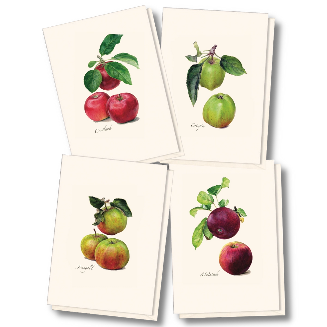Heirloom Apple | Assorted 8 Card Set