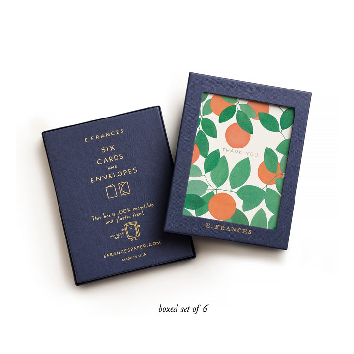 Orange Grove Thank You |  6 Cards Set