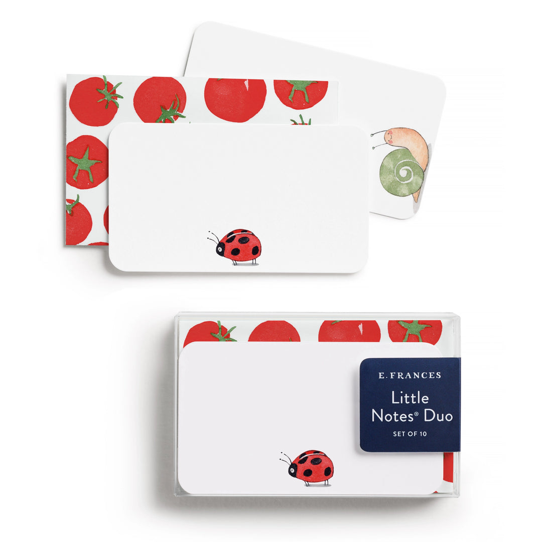 Ladybug Little Notes Duo Set with Envelopes