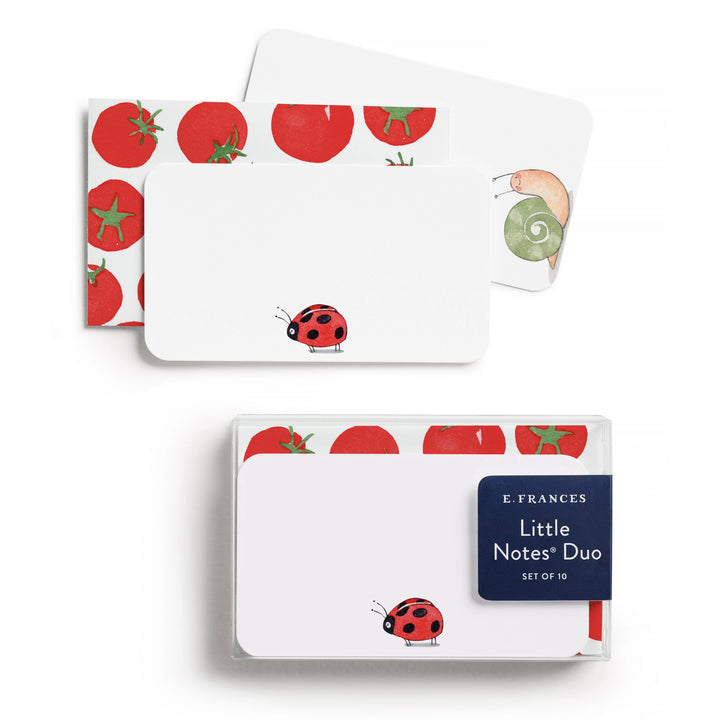 Ladybug Little Notes Duo Set with Envelopes