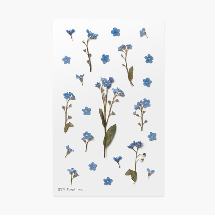 Forget Me Not | Pressed Flower Sticker