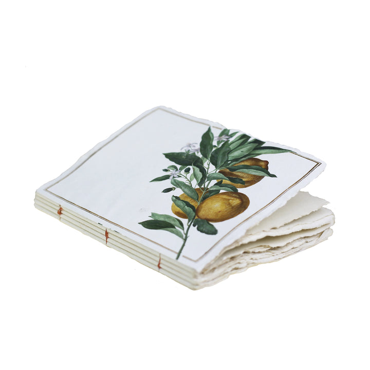 Lemon Stem Parchment Paper A6 Notebook