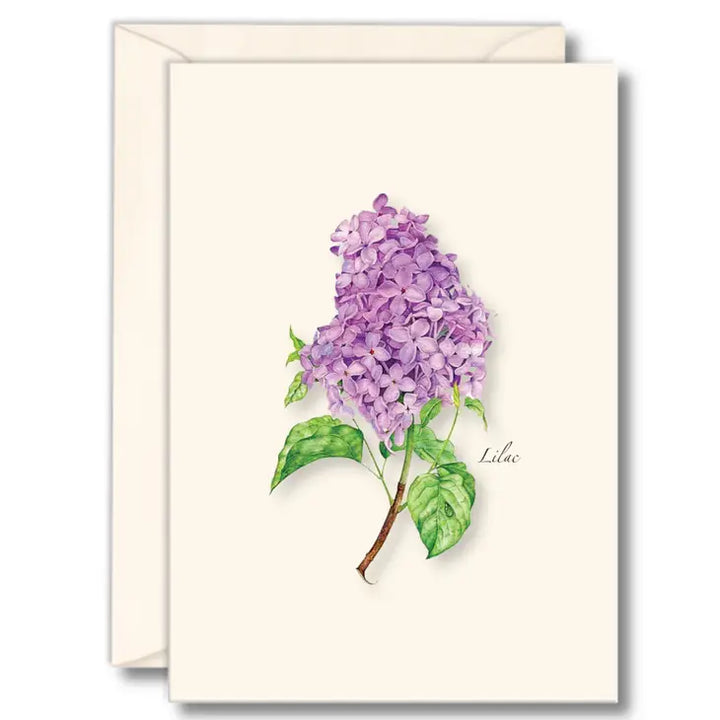 Lilac | 8 Card Set