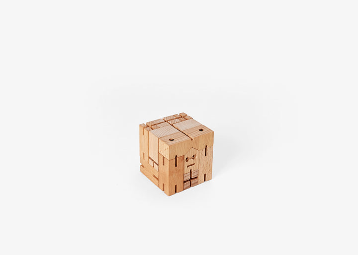 Micro Cubebot Julien