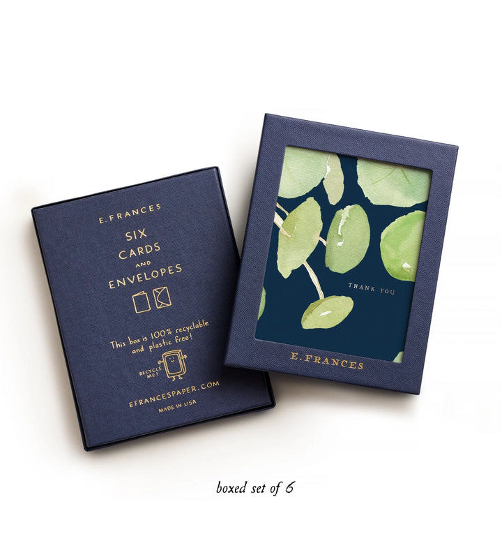 Pilea Plant Thank You |  6 Cards Set
