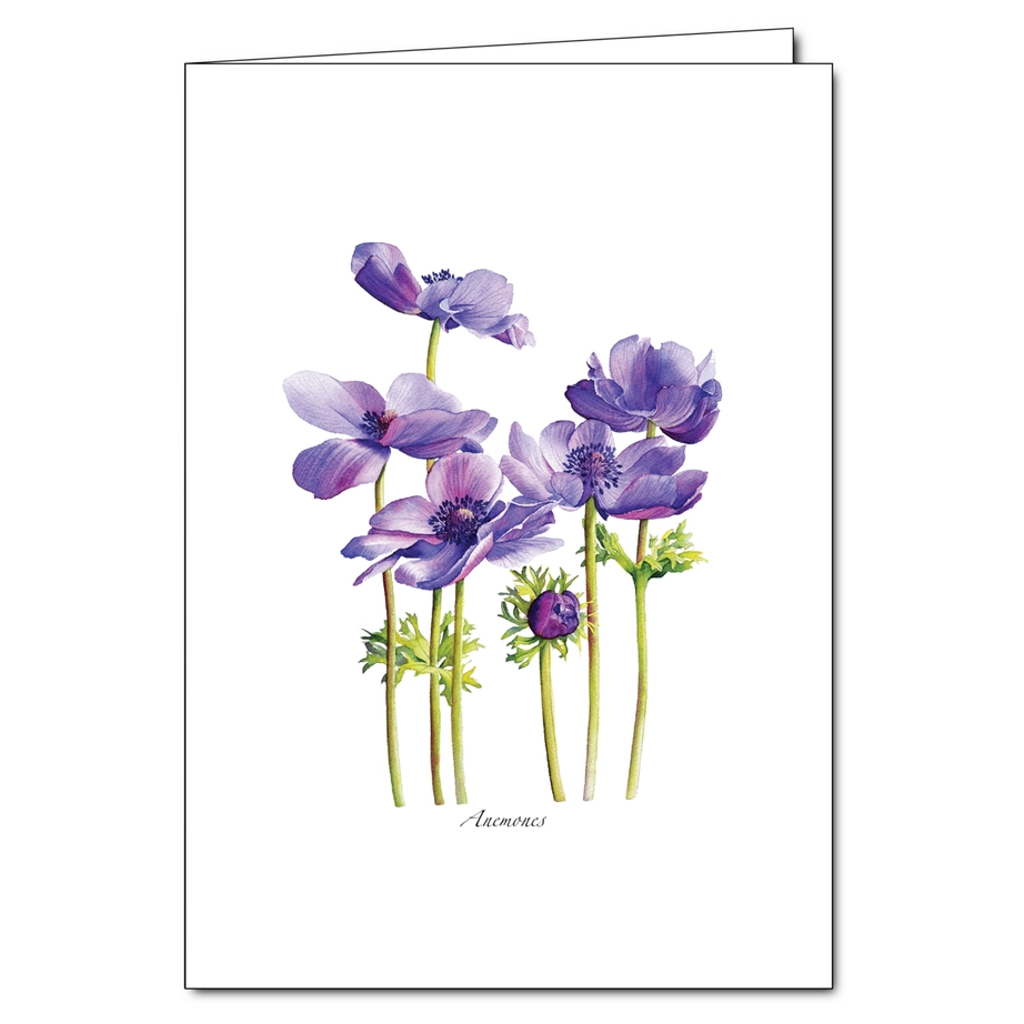 Anemones | Greeting Card