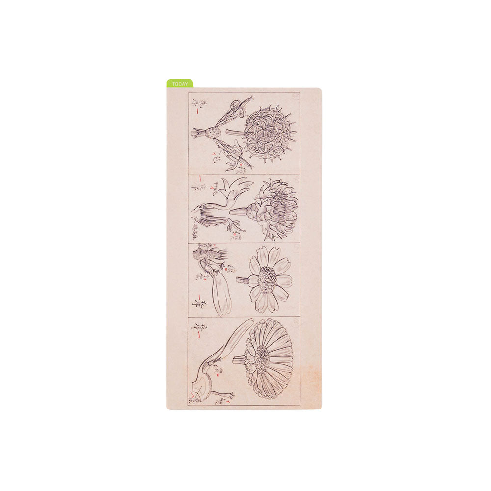 Hobonichi Pencil Board | Tomitaro Makino *