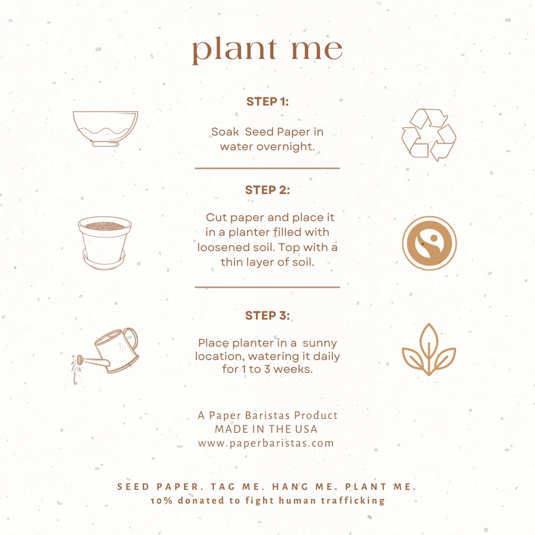 Love Plantable Seed Gift Tags | Set of 3