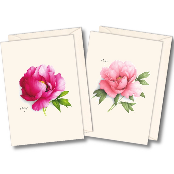 Peony  | Assorted 8 Card Set