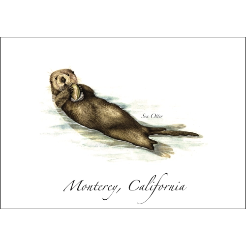 Sea Otter | Greeting Card