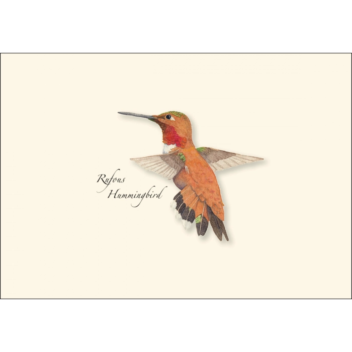 Western Hummingbird | Assorted 8 Card Set