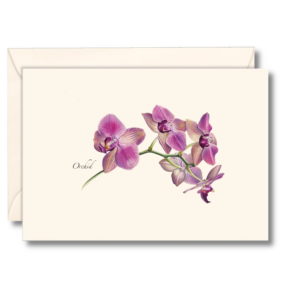 Orchid | 8 Card Set