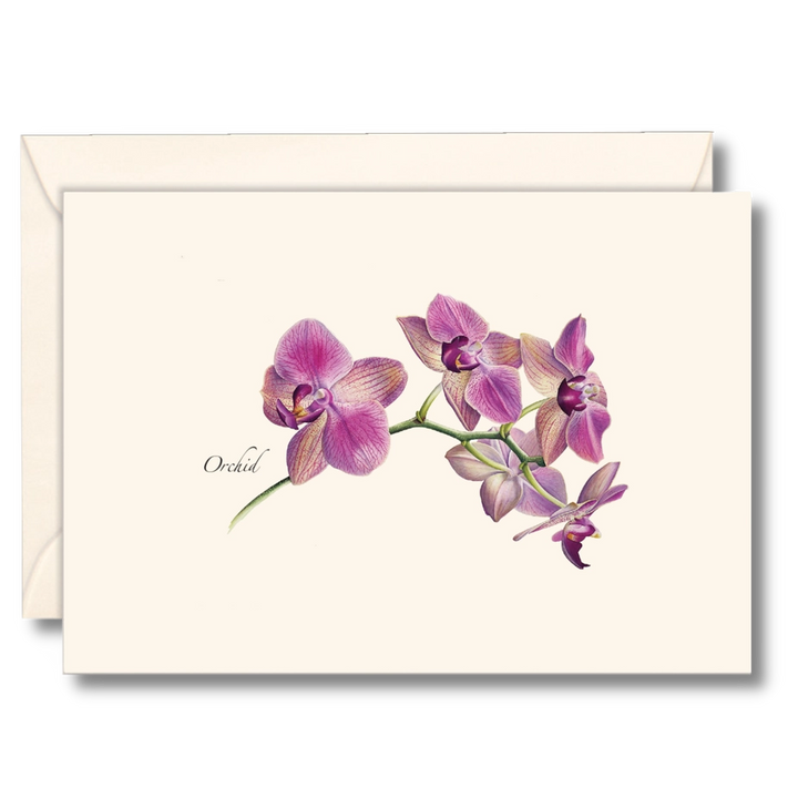 Orchid | 8 Card Set