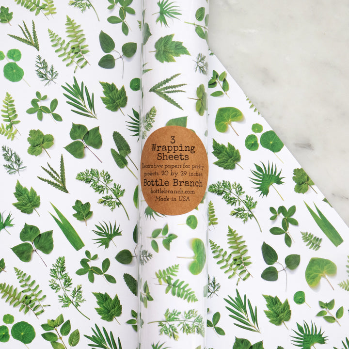 Green Leaves | Gift Wrap *