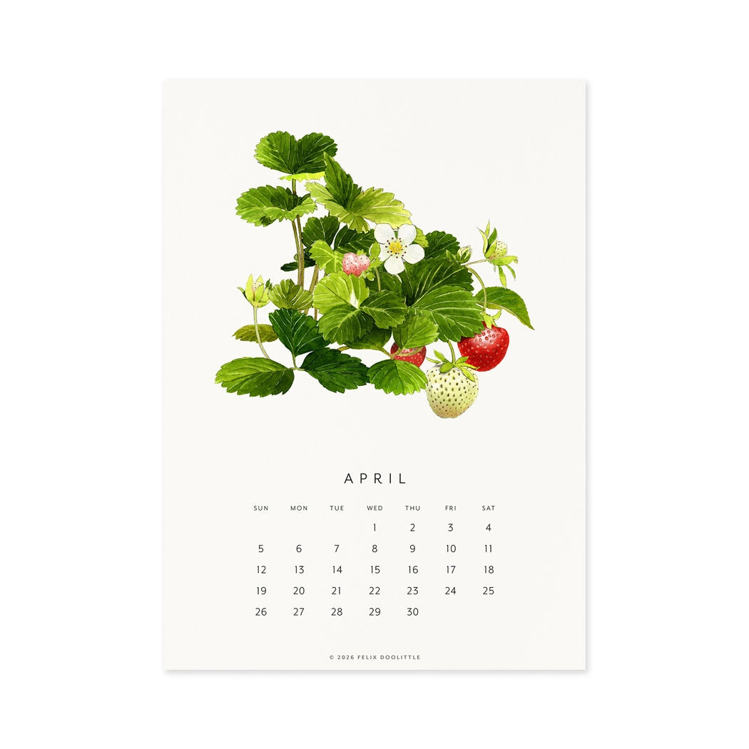 Fresh Fruit | 2026 Desk Calendar