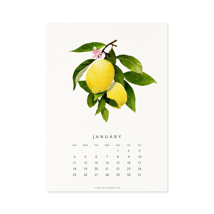 Fresh Fruit | 2026 Desk Calendar