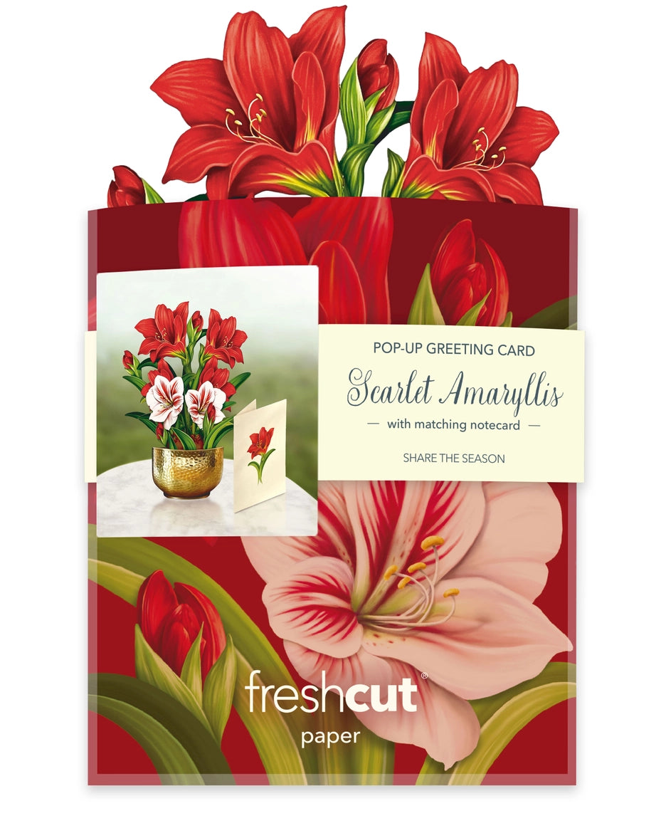 Scarlett Amaryllis Mini Pop-Up Card