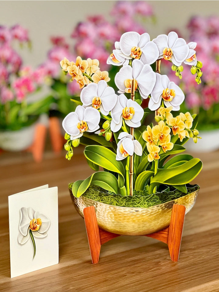 Serenity Orchid Large Pop-Up Card
