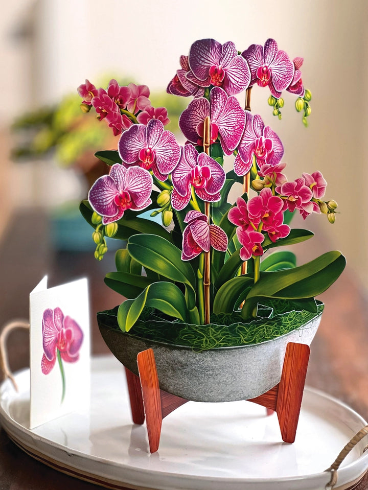 Orchid Oasis Large Pop-Up Card