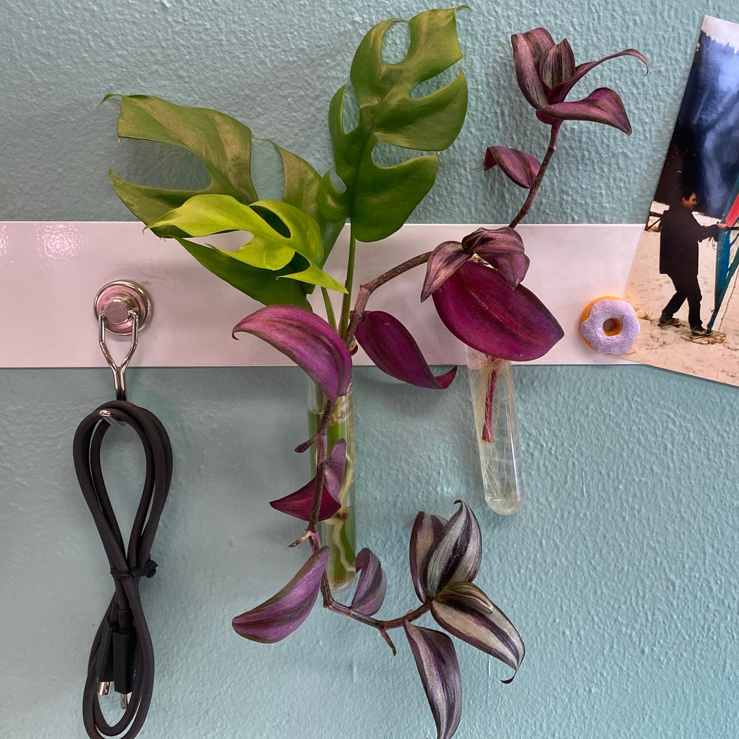 Magnetic Test Tube Vase | Set of 2