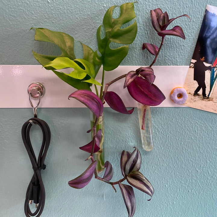 Magnetic Test Tube Vase | Set of 2