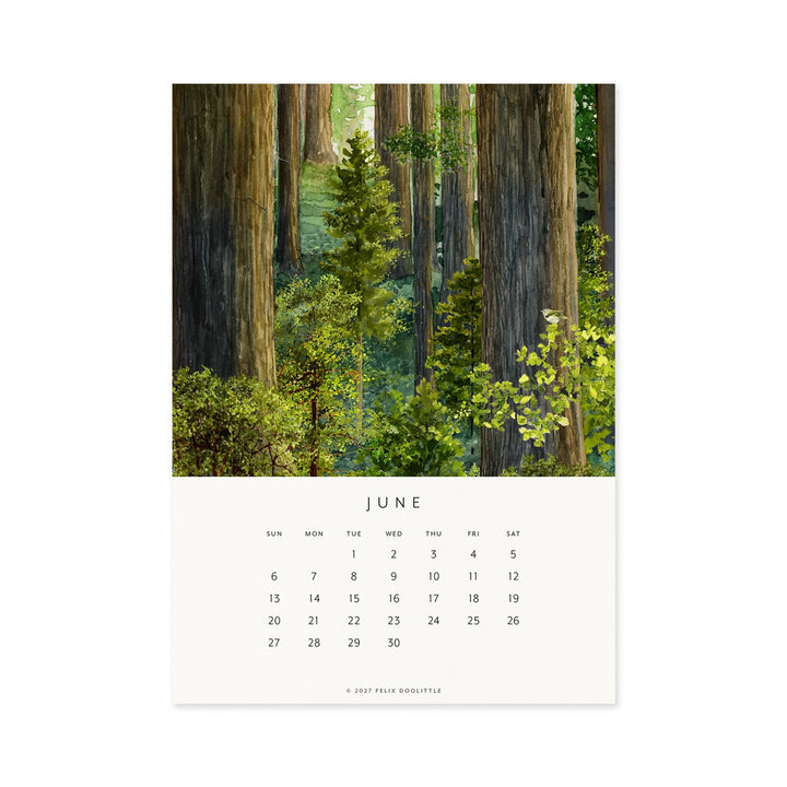 Drawn To Nature | 2027 Desk Calendar