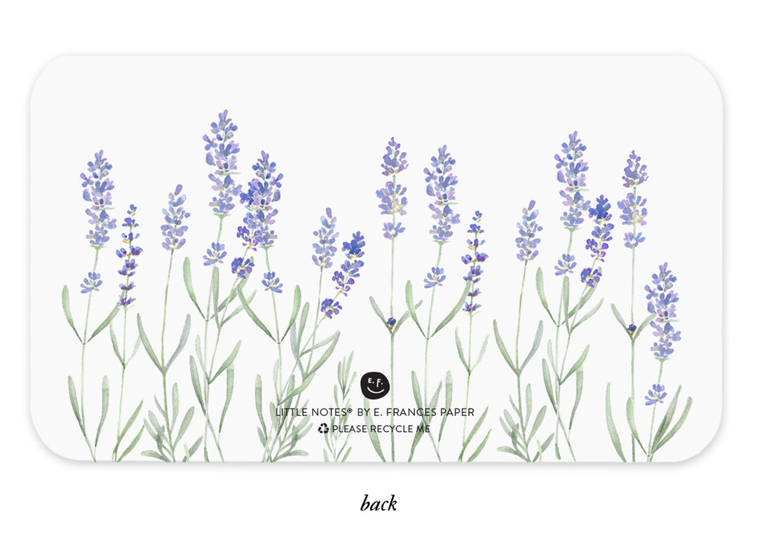 Lavender | Little Notes