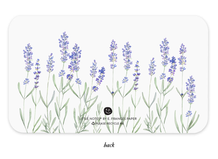 Lavender | Little Notes