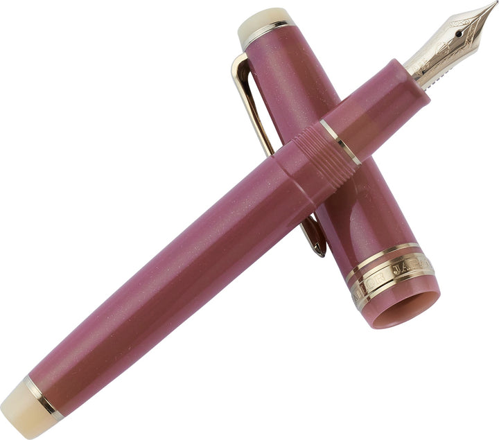Pro Gear Slim Fountain Pen | Wagashi Japanese Sweets | Nerikiri | Limited Edition