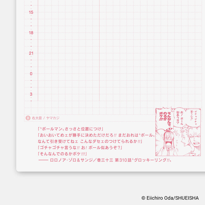 Hobonichi Techo 2027 A6 Planner | One Piece Edition | Book Only | Japanese (Copy)