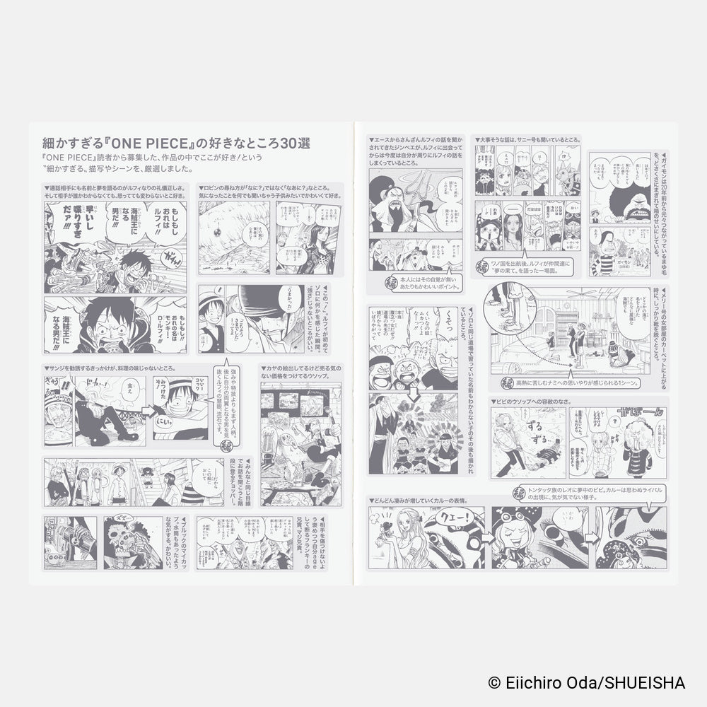 Hobonichi Techo 2027 A6 Planner | One Piece Edition | Book Only | Japanese (Copy)
