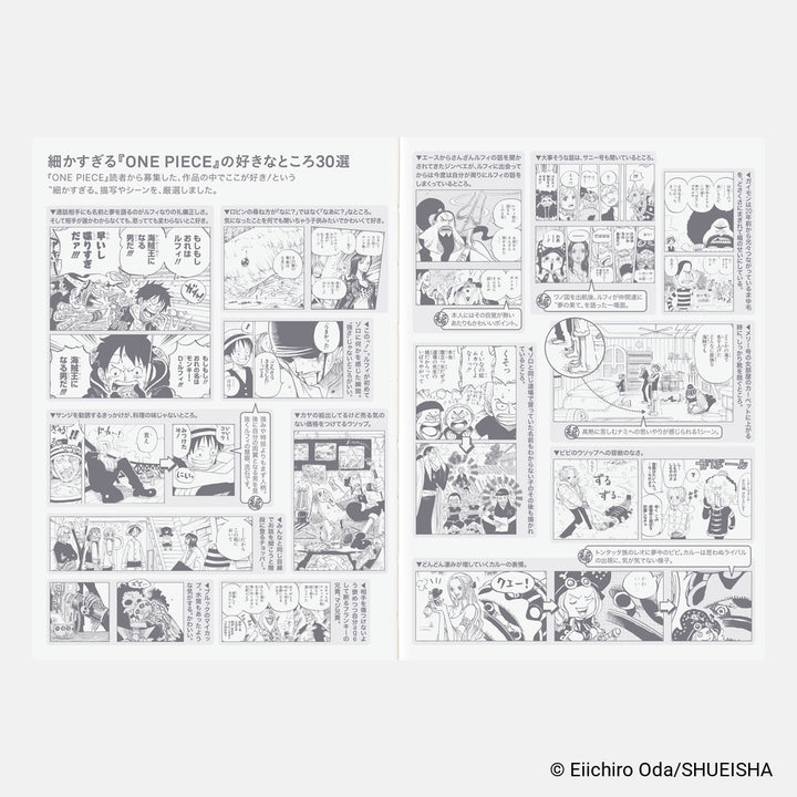 Hobonichi Techo 2027 A6 Planner | One Piece Edition | Book Only | Japanese (Copy)