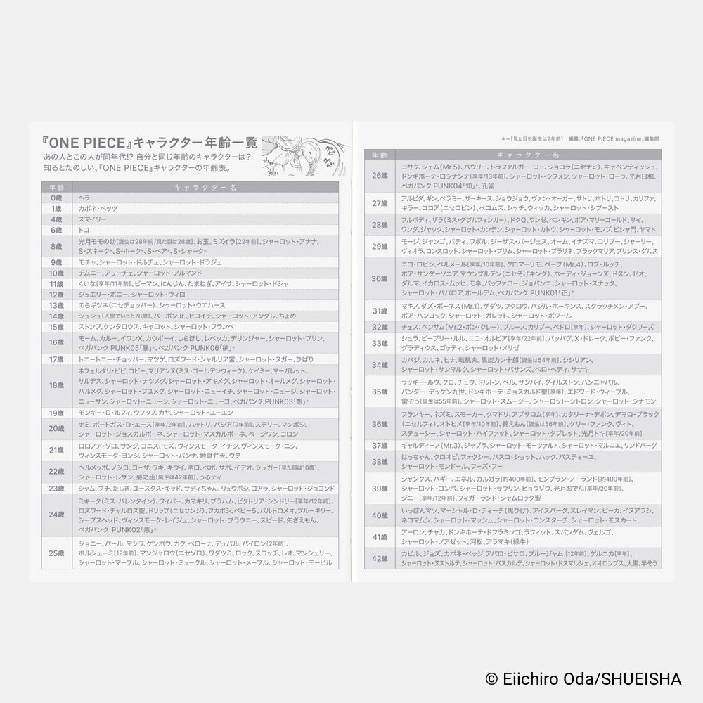 Hobonichi Techo 2027 A6 Planner | One Piece Edition | Book Only | Japanese (Copy)