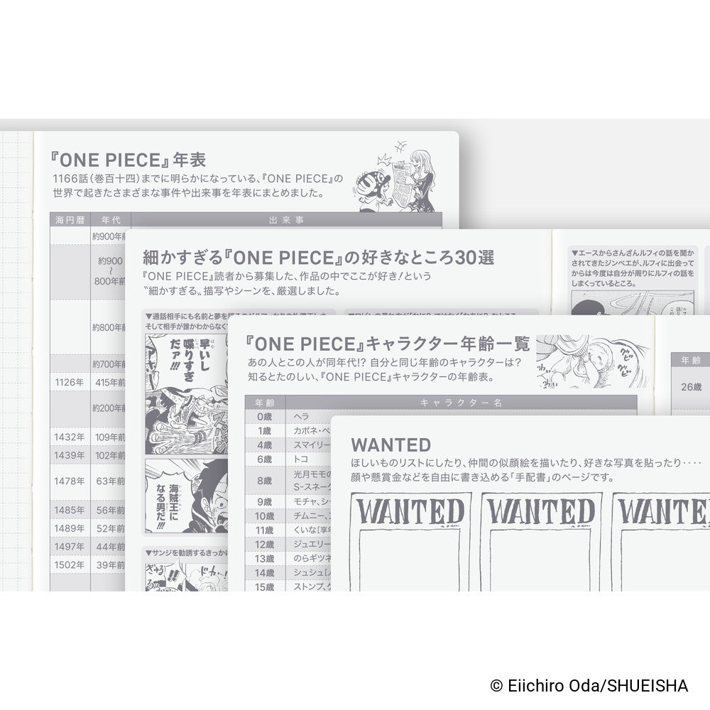 Hobonichi Techo 2027 A6 Planner | One Piece Edition | Book Only | Japanese (Copy)