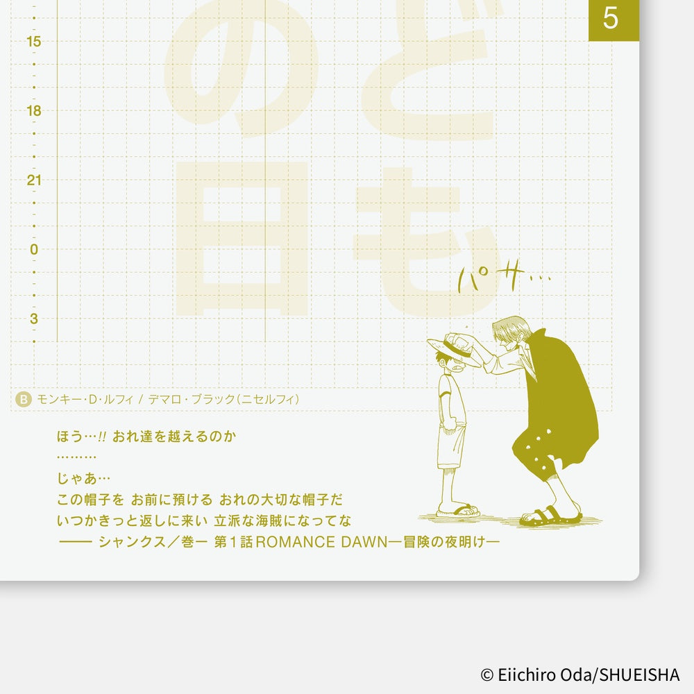 Hobonichi Techo 2026 A6 Planner | One Piece Edition | Book Only | Japanese