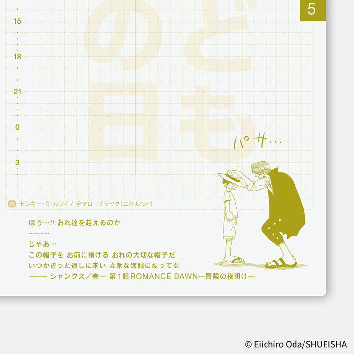 Hobonichi Techo 2026 A6 Planner | One Piece Edition | Book Only | Japanese