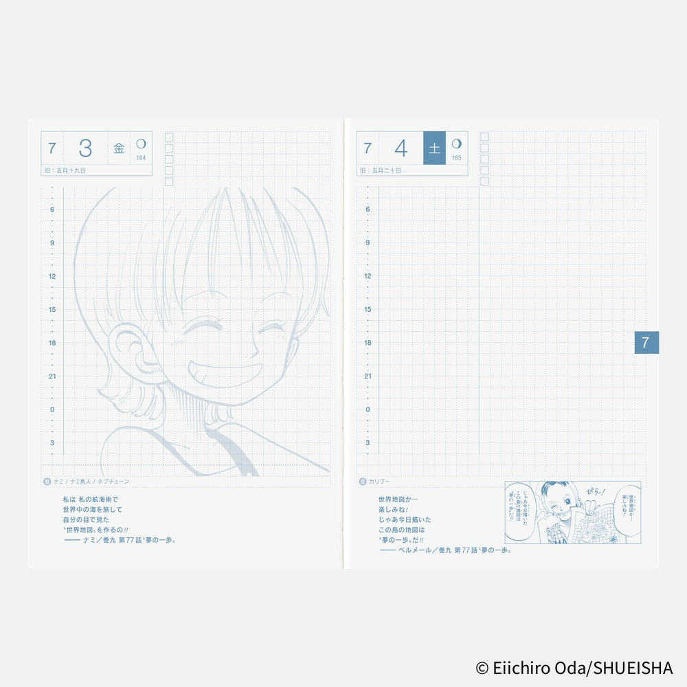 Hobonichi Techo 2026 A6 Planner | One Piece Edition | Book Only | Japanese