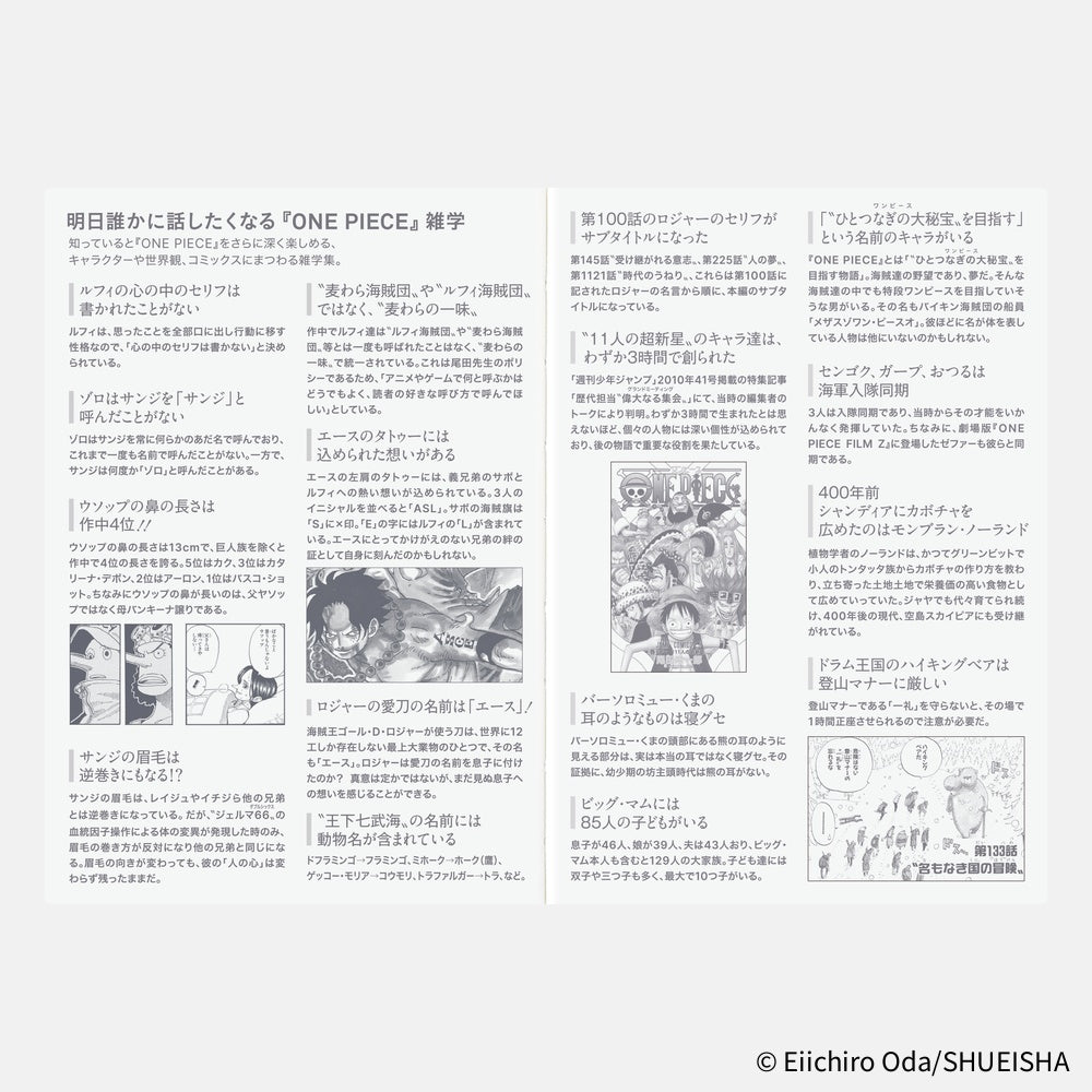 Hobonichi Techo 2026 A6 Planner | One Piece Edition | Book Only | Japanese