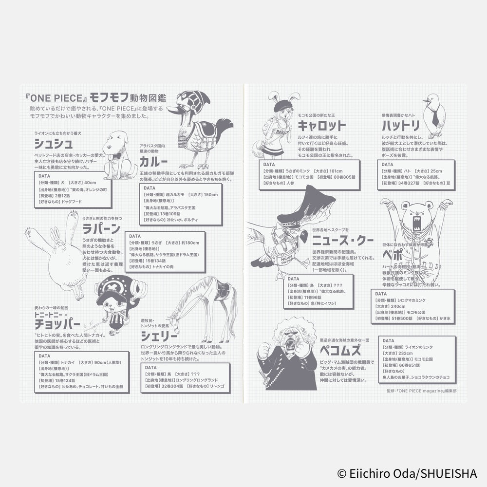 Hobonichi Techo 2026 A6 Planner | One Piece Edition | Book Only | Japanese