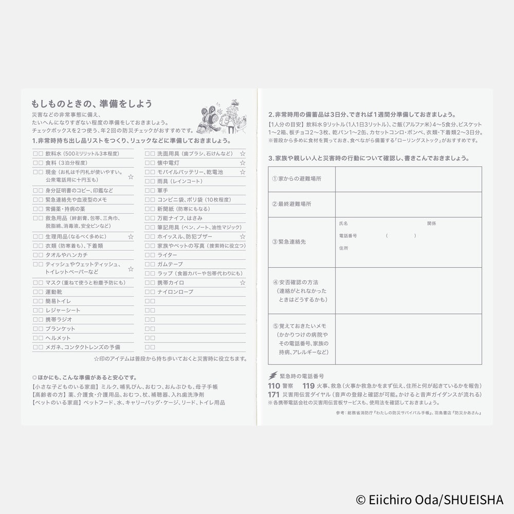 Hobonichi Techo 2026 A6 Planner | One Piece Edition | Book Only | Japanese