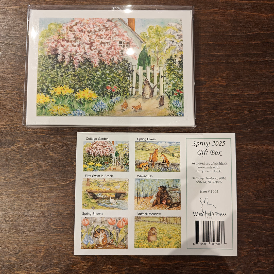 Spring Greeting Cards | 6 Card Set