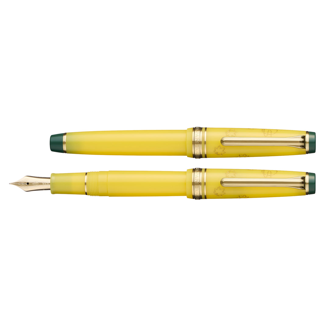 Pro Gear Slim Fountain Pen | Japanese Scenery | Tasogare | Limited Edition