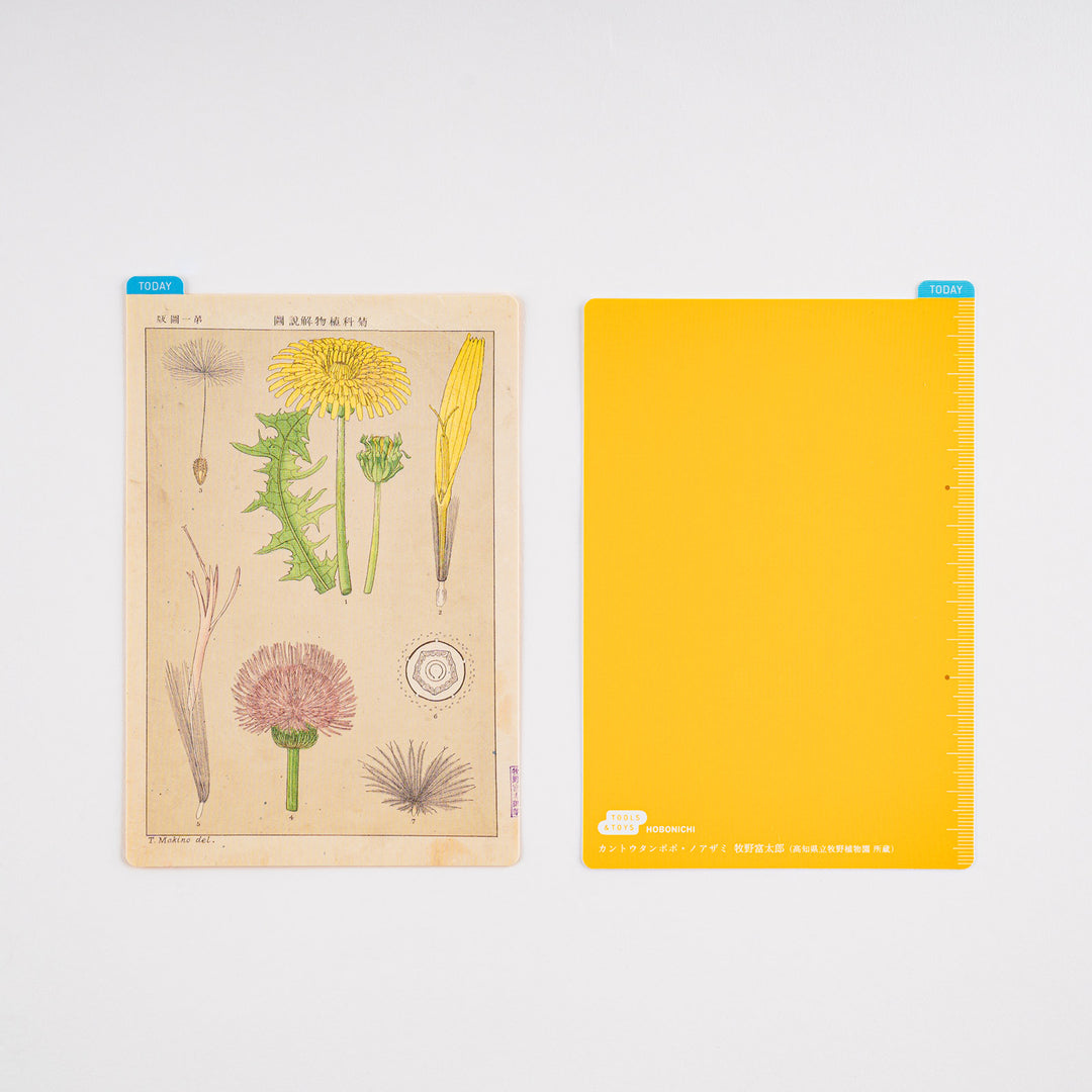 Hobonichi Pencil Board | Tomitaro Makino *