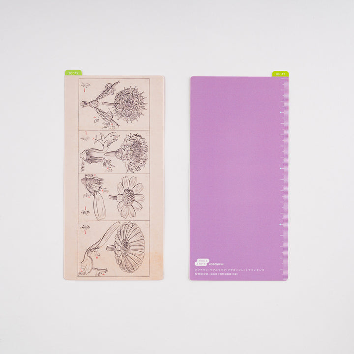 Hobonichi Pencil Board | Tomitaro Makino *