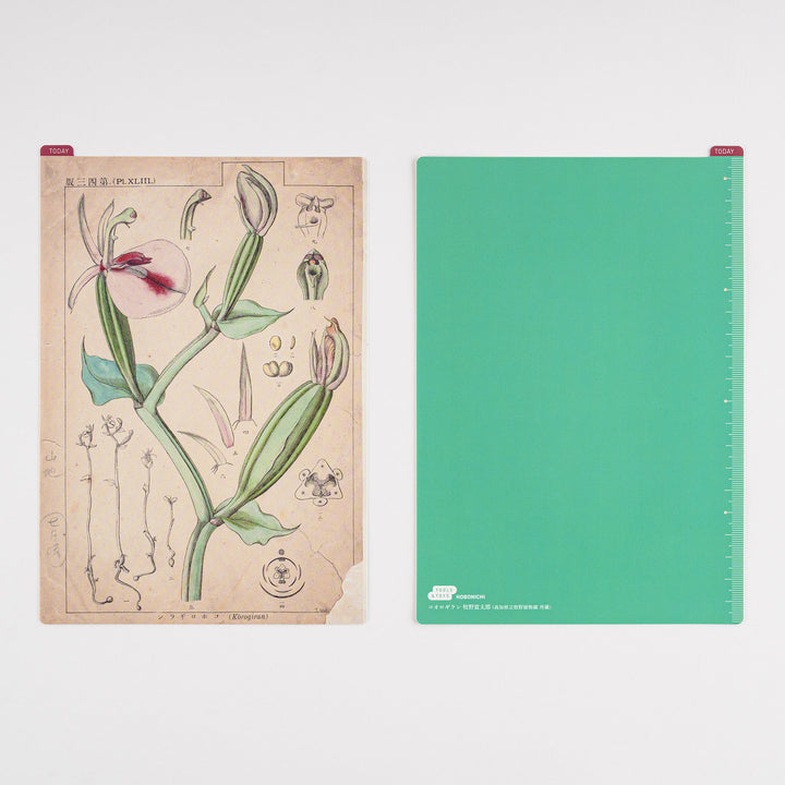 Hobonichi Pencil Board | Tomitaro Makino *