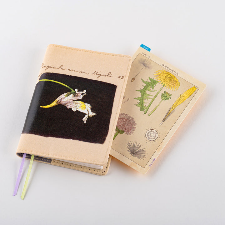 Hobonichi Pencil Board | Tomitaro Makino *