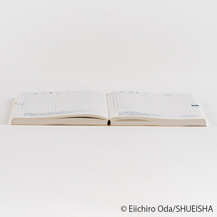 Hobonichi Techo 2024 A6 Planner | One Piece Edition | Book Only | Japanese *