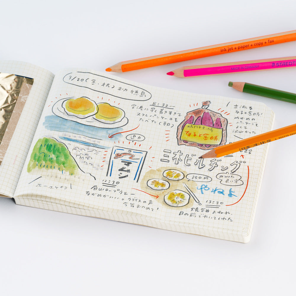 Akiko Miyakoshi: I Dream of a Journey Landscape Notebook