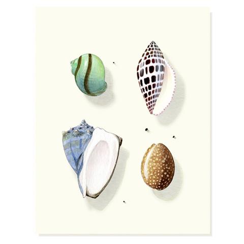 Ocean Hue | Assorted 8 Card Set