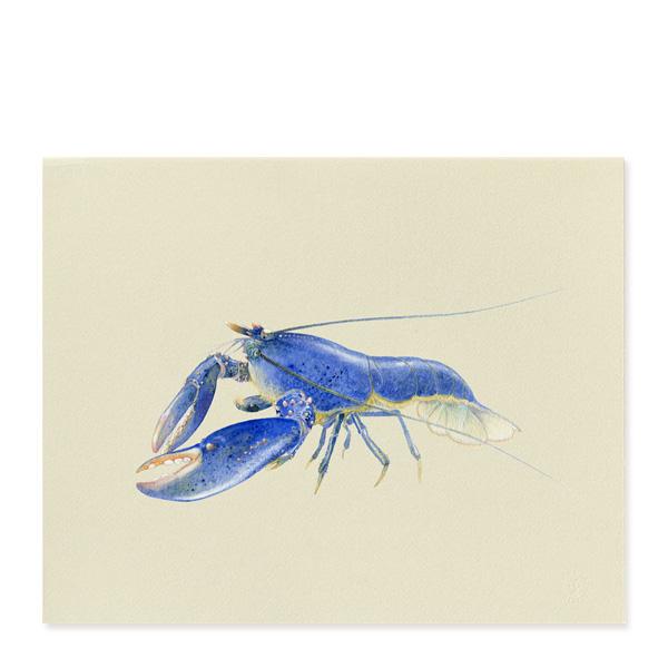 Blue Lobster | Art Print